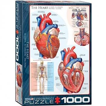 Anne Stokes Spellbound 1000-Piece Puzzle by Eurographics