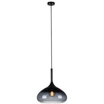 Lámpara colgante de techo tipo domo COOPER Negra, 1 luz E27