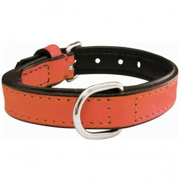 Collar para Perro Acolchado Coral 45 x 2 cm