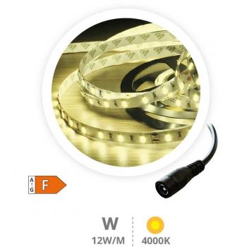 Gsc Evolution Rollo 5M Tira LED 12W/M 4000-4500K IP44 24V - Iluminación Versátil