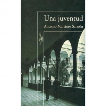 Una juventud