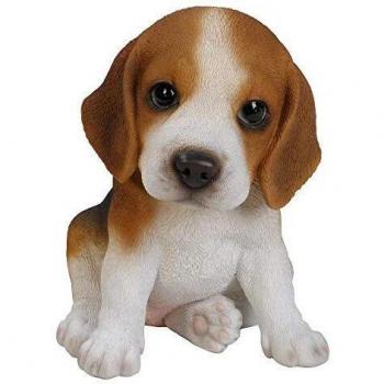 Cachorro de Beagle en resina 15 cm - Vivid Arts