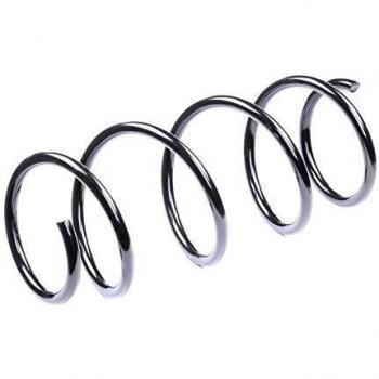Muelle de suspensión RIDEX 188C0157 para Renault Megane II y Scenic II, amortiguador, muelle helicoidal