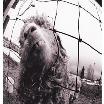 Vs. - Expanded Edition