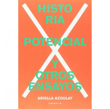 Historia potencial y otros ensayos