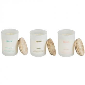 Conjunto de 3 Velas Aromáticas Multicolor 100% Cera de Soja con Mecha de Algodón en Vaso Blanco - Fragancias Cuero, Brisa Marina y Ámbar
