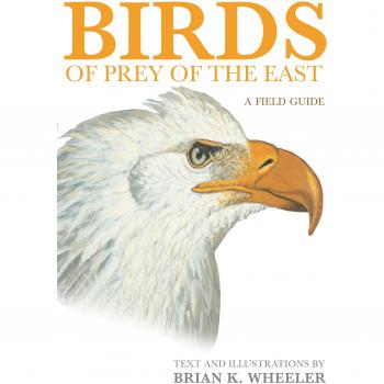 Eastern Raptors Field Guide by Brian K. Wheeler