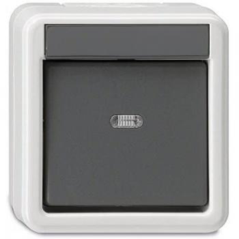 Gira 010630 - Interruptor basculante