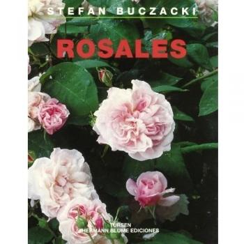 Rosales: 7