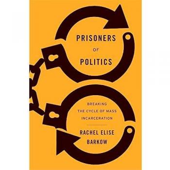 Prisoners of Politics: Breaking the Cycle of Mass Incarceration