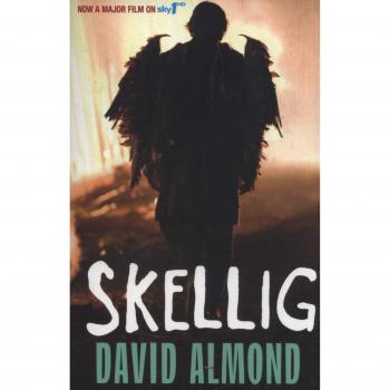 Libro Skellig de David Almond - Novela juvenil sobre amistad y misterio