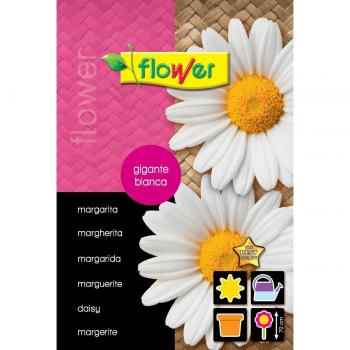 Flower - Sobre semillas margarita