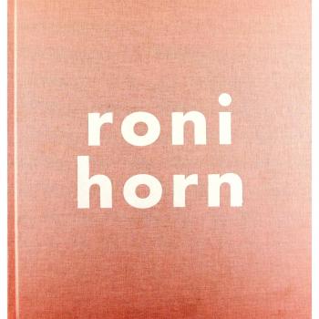 Roni Horn: Dormia tot com si l'univers fos un error