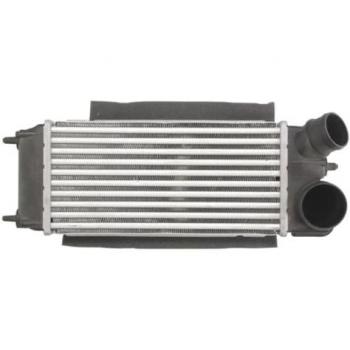 Intercooler THERMOTEC DAG014TT - Tipo: Intercooler; Características: Fabricado en aluminio, diseño de alta eficiencia, compatible con múltiples modelos de vehículos, mejora del rendimiento del motor, reducción de temperatura del aire comprimido