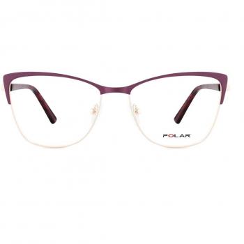 Polar 529 With Clip-On 08 Armazones y Lentes Recetados para Hombre Dorados