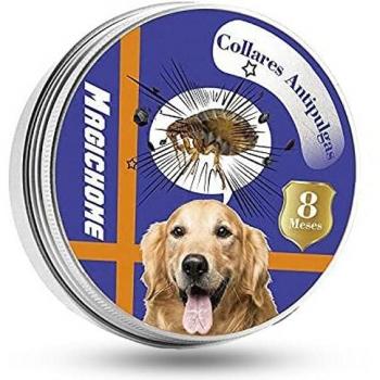 Magichome Collar Antiparasitario para Perros y Gatos contra Pulgas, Garrapatas y Mosquitos, 53cm Collares Antipulgas y Garrapatas, Gris