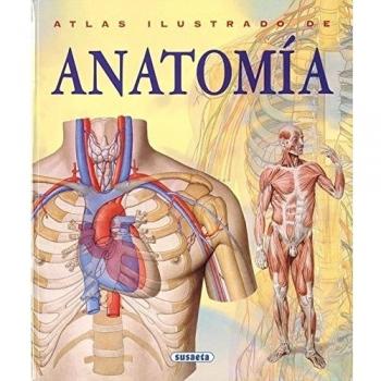 Atlas Ilustrado De Anatomia - Adriana Rigutti
