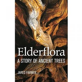 Elderflora: A Modern History of Ancient Trees