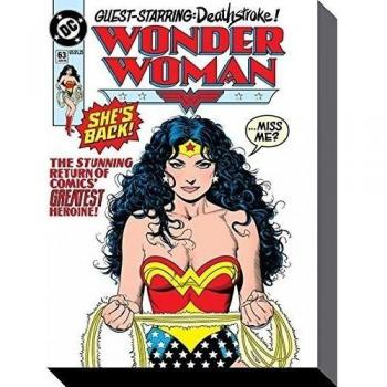 Pyramid International DC Comics - Wonder Woman