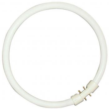 Sylvania t5 - Lámpara t5 circline plus 22w/830