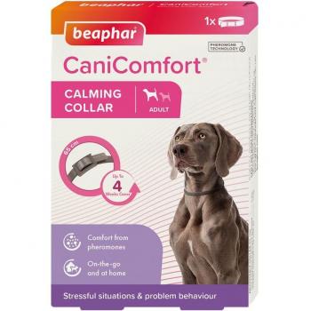 Collar Calmante Beaphar CaniComfort con Feromonas para Perros (65 cm)