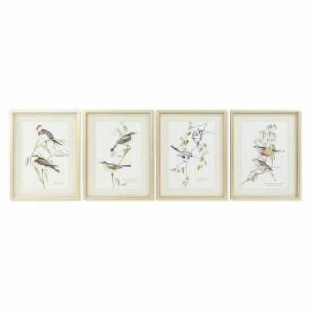 Cuadro DKD Home Decor 35 x 2,5 x 45 cm Tradicional Pájaros (4 Piezas)
