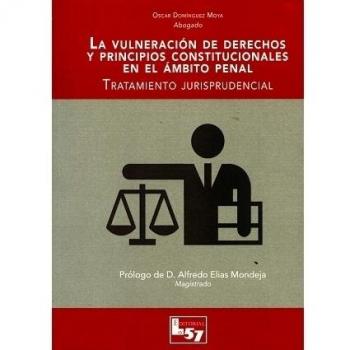 La Vulneracion de Derechos y Principios const.en abmito penal