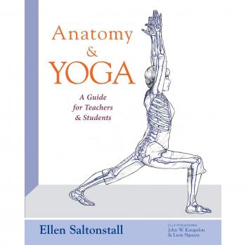 Guía de Anatomía y Yoga para Profesores y Estudiantes