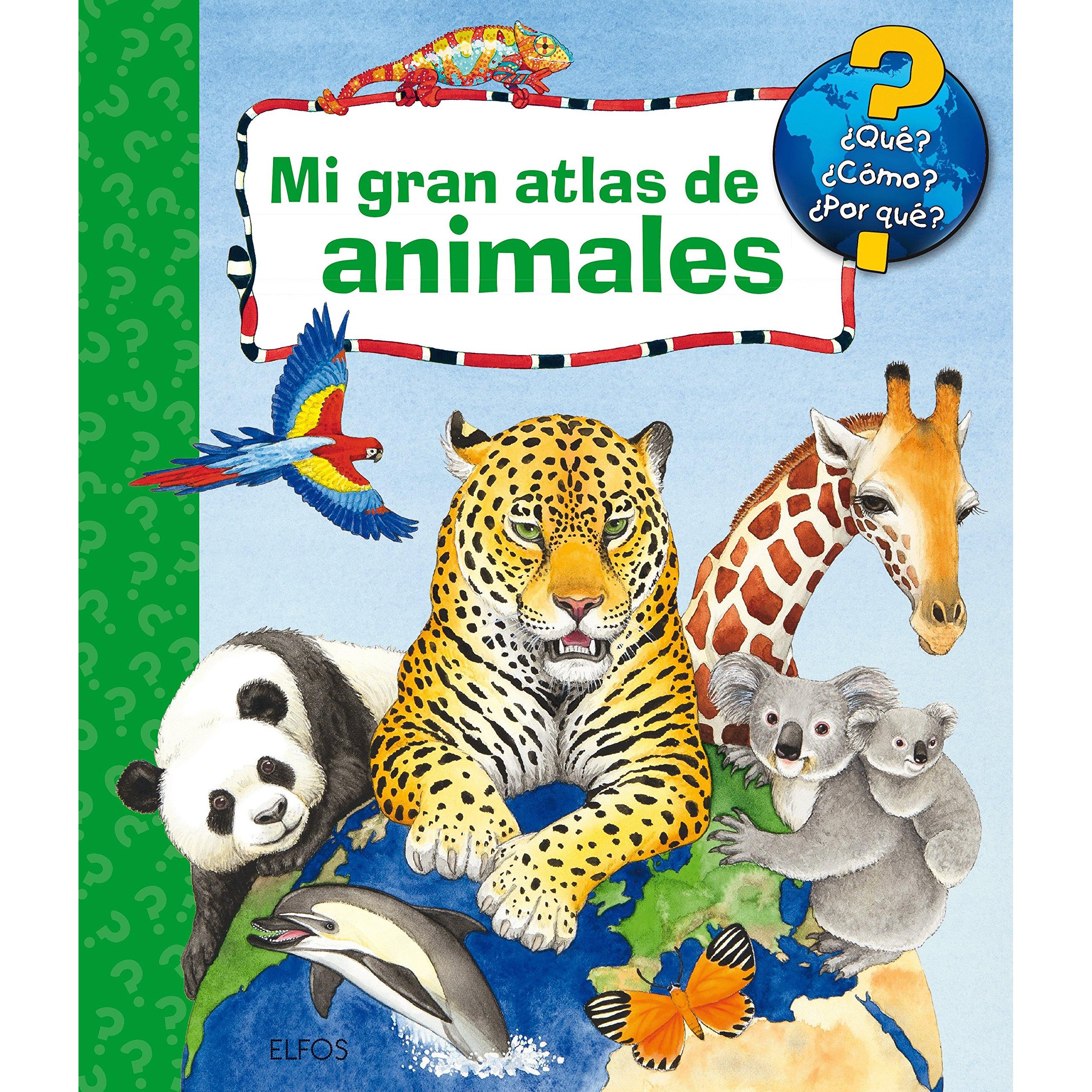 Imagen Principal