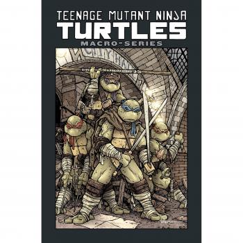 Teenage Mutant Ninja Turtles: Macro-Series