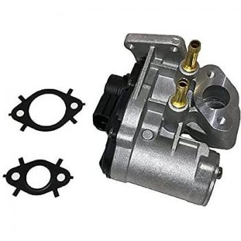 BUGIAD BGR13010 Válvula AGR 03C 131 503 B