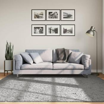 Alfombra larga Shaggy moderna gris PAMPLONA 200x200 cm