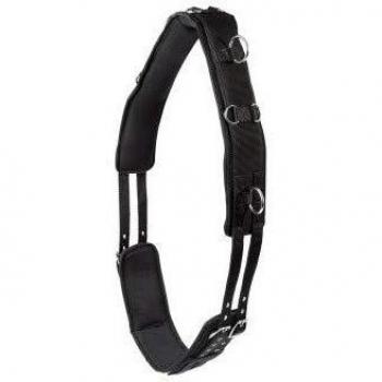 PFIFF - Cinturón de Longing con cojín, Unisex adulto, Negro
, Media sangre