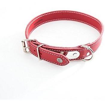 Collar acolchado para perro con placa Martin Sellier y leash incluido