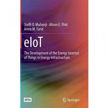 eIoT: The Development of the Energy Internet of Things in Energy Infrastructure