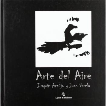 Arte del Aire