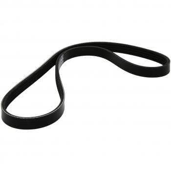Dayco 4PK835 Poly Rib Belt