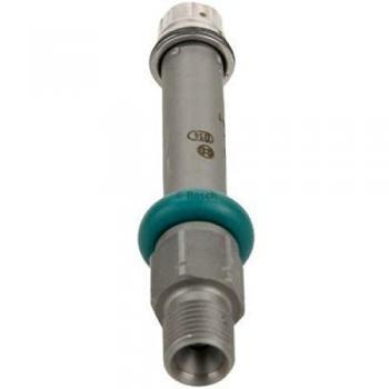 Bosch Injection Valve