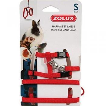 Zolux Casual - Kit de arnés para mamífero pequeño, Color Rojo