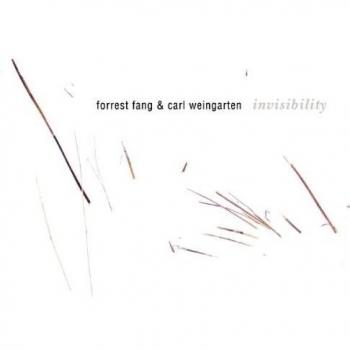 Invisibility