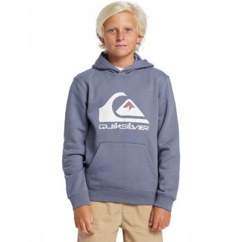 Sudadera con capucha Quiksilver Big Logo gris oscuro niño 16