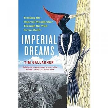 Sueños Imperiales - Edición en Rústica de Tim Gallagher