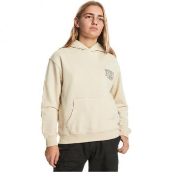 Quiksilver Sudadera Con Capucha Drybridgehoo Beige