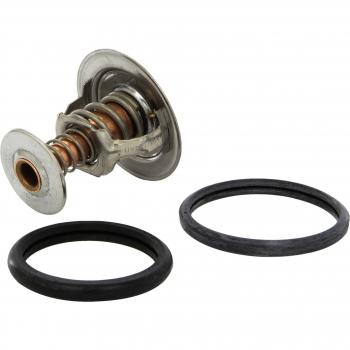Triscan 8620 18080 Termostato, refrigerante