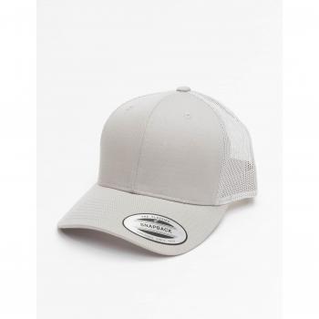 Flexfit Unisex Retro Trucker Cap - One Size Silver Mesh Baseball Hat