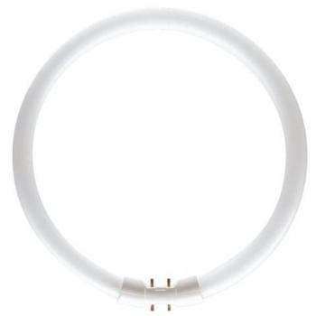 Sylvania t5 - Lámpara t5 circline plus 55w/830