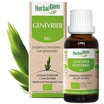 Macérat concentré de genévrier bio 30 ml