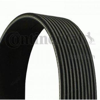 Contitech 10PK1350 Belt Grooved