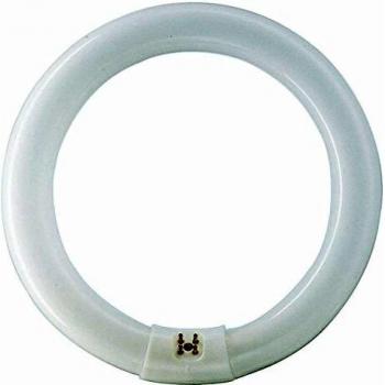 Philips Master TL-E 40W840 - Lámpara Fluorescente con Forma de Anillo