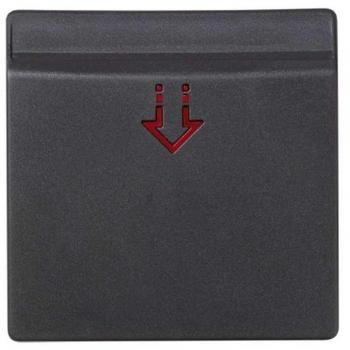 Tapa interruptor tarjeta codificada Simon 82 grafito SIMON 82078-68